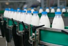 Популярную в Казахстане марку молока запретили в России