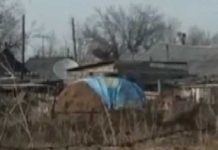 Фермер накрыл сено баннером с флагом Казахстана и может получить штраф Житель накрыл сено баннером с флагом Казахстана