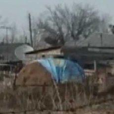 Фермер накрыл сено баннером с флагом Казахстана и может получить штраф Житель накрыл сено баннером с флагом Казахстана