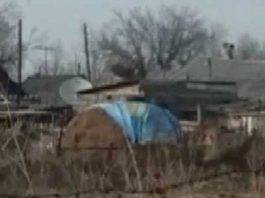 Житель накрыл сено баннером с флагом Казахстана