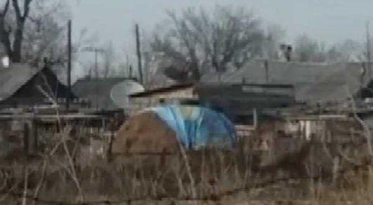 Житель накрыл сено баннером с флагом Казахстана