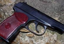 Студента из Казахстана нашли застреленным недалеко от Бишкека пистолет Макарова