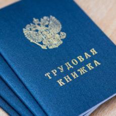 В Казахстане планируют вернуть функции государственного инспектора