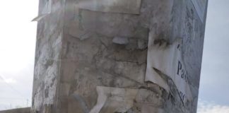 Жителям микрорайона Север в Шымкенте дарят цветы