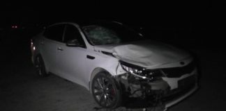 На трассе Алматы-Ташкент-Термез в результате ДТП погиб пешеход