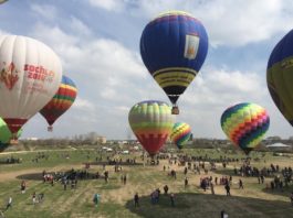 В Шымкенте прошел второй международный фестиваль воздухоплавателей «Ашык аспан»