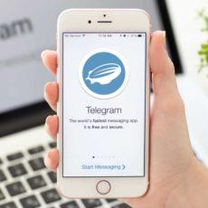 МИД РК запустило Telegram-бот телеграм
