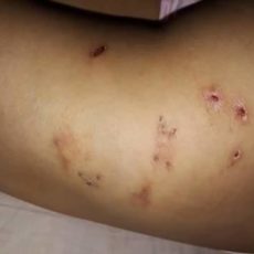 В Туркестанской области подростки подверглись жестокому издевательству мачехи В Туркестанской области подростки подверглись жестокому издевательству мачехи