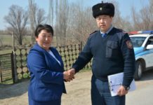 Полицейские Туркестанской области вернули сельчанке пропавших лошадей