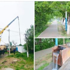 В Туркестане пробурят скважины, чтобы поливать городские деревья