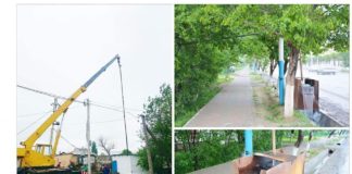 В Туркестане пробурят скважины, чтобы поливать городские деревья