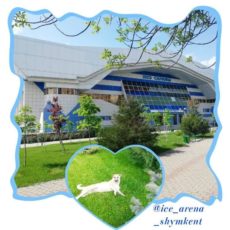 В Шымкенте пройдет республиканский турнир «Шымкент Коньки»