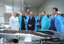 15 тонн пельменей и 3 тонны мороженого выпускает предприятие Толебийского района