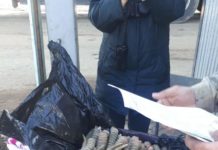 Житель Узбекистана пытался вывезти 148 свежеспиленных сайгачьих рогов