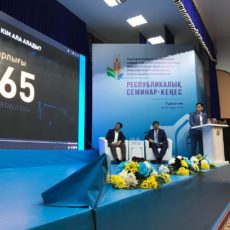 Продовольственный пояс появится вокруг Туркестана