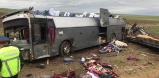 Пострадавшие в ДТП на Кордае доставлены в Ташкент Крупное ДТП близ Кордая