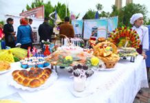 Чемпионат «WorldSkills TURKESTAN- 2019» выявит лучших студентов