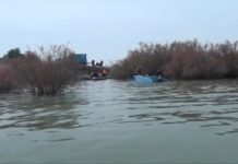 Километры сетей вытаскивают волонтеры из Шардаринского водохранилища