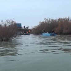 Километры сетей вытаскивают волонтеры из Шардаринского водохранилища