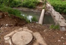 Гибель рыбы на реке Кошкарата: главные версии и гипотезы Канализация на реке Кошкарата