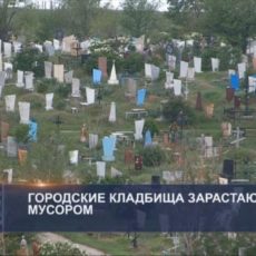 На кладбищах Шымкента нет порядка кладбище