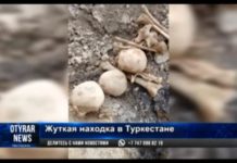 В Туркестане при рытье котлована обнаружили человеческие кости В Туркестане при рытье котлована обнаружили человеческие кости
