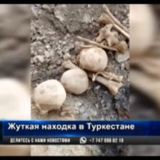 В Туркестане при рытье котлована обнаружили человеческие кости В Туркестане при рытье котлована обнаружили человеческие кости