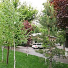 photo5330324654134504349