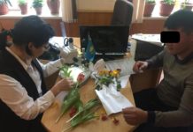 В Туркестанской области 8 любителей рвать тюльпаны заплатят штраф