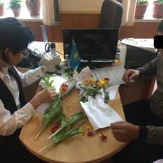 В Туркестанской области 8 любителей рвать тюльпаны заплатят штраф