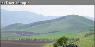 Драма в степи: любовный треугольник (видео)