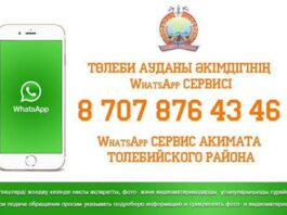 Жители Толебийского района могут обращаться в акимат по Whatsapp