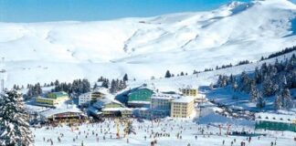 Инвесторы из Индии построят горнолыжный курорт в Туркестанской области