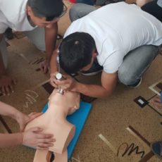 Медикам из Туркестанской области подарили муляжи