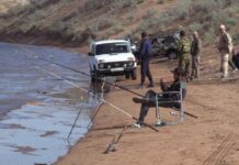 Сколько стоит на Шардаринском водохранилище путевка на рыбалку