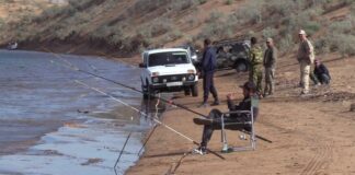 Экологи пытаются установить причину гибели мальков