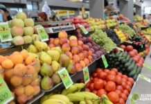 Первый урожай фруктов и овощей привезет Туркестанская область на ярмарку в столицу фрукты