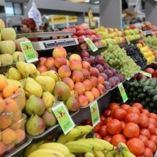 Первый урожай фруктов и овощей привезет Туркестанская область на ярмарку в столицу фрукты
