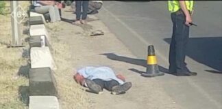 На трассе Шымкент-Ленгер под колесами авто погиб сотрудник коммунального предприятия