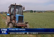 В Шымкенте началась подготовка к пожароопасному периоду опашка