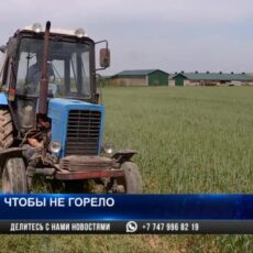 В Шымкенте началась подготовка к пожароопасному периоду опашка