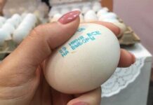 Яйца «позвали» казахстанцев на выборы