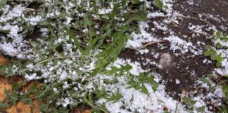 В Усть-Каменогорске прошёл снег снег в Усть-Каменогорске 3