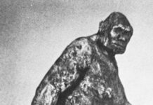 ФБР опубликовало «досье на снежного человека»