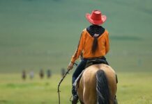В Туркестанской области девочка ушла искать маму и сама потерялась девочка на коне