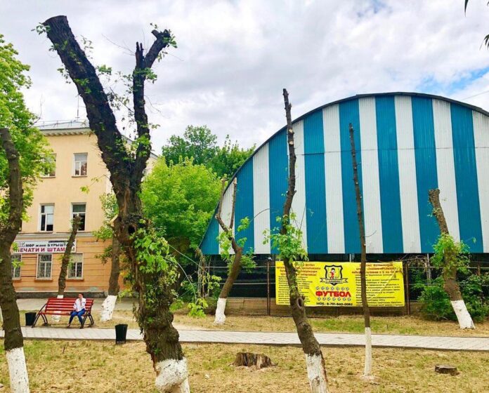 Обрубка деревьев по улице Байтурсынова