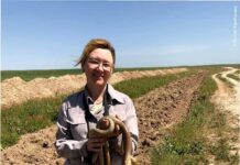 Более 200 животных и рептилий спасли из смертельной ловушки