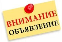 Нововведения в Налоговый кодекс разъяснят жителям Шымкента