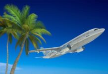 Что можно привезти домой из дальнего зарубежья