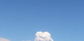 В Шымкенте открыта горячая линия в связи с событиями в Арыси взрыв, Арысь